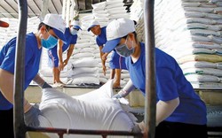 Giá gạo Việt Nam xuất khẩu cao nhất thế giới