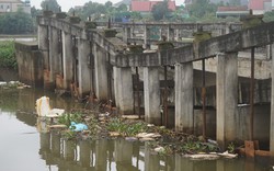 Nghệ An: Cầu ngăn mặn gãy đôi, nước mặn tràn đồng, nhiều diện tích đất trồng hoa màu nguy cơ xóa sổ