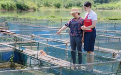 Agribank chung tay thúc đẩy tín dụng xanh, ngân hàng xanh hướng tới phát triển bền vững tại Việt Nam