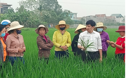 Hơn 70 nghìn lao động nông thôn tỉnh Thanh Hóa được đào tạo nghề