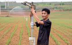 Thanh Hóa, Nghệ An trở thành công xưởng khổng lồ chế biến một loại thức ăn chăn nuôi 