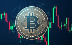 Giá Bitcoin hôm nay 16/11: Giá Bitcoin tăng nhẹ, đồng TWT tăng vọt 150% chỉ trong 6 ngày