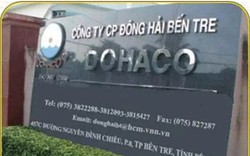 Cổ phiếu giảm sàn 5 phiên liên tiếp, Đông Hải Bến Tre (DHC) giải trình "ngoài tầm kiểm soát"