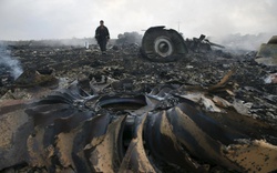 Nhìn lại thảm kịch máy bay MH17 trước giờ phán quyết hôm nay