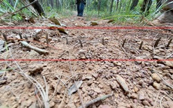 Vụ tấn công lực lượng bảo vệ rừng ở Lâm Đồng: 1 cán bộ bị bắn đạn chì vào lưng