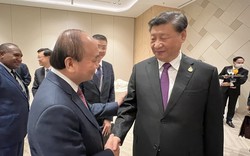 Chủ tịch nước Nguyễn Xuân Phúc gặp Tổng bí thư, Chủ tịch Trung Quốc Tập Cận Bình