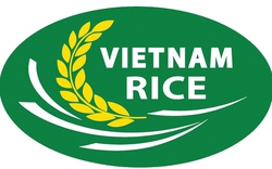 Thứ trưởng Bộ NNPTNT phê bình Cục trưởng Cục Chế biến và PTTTNS vì chậm tham mưu quản lý nhãn hiệu gạo Việt Nam