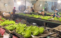 Trái cây Việt trước cơ hội vào thị trường tỉ dân