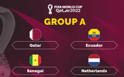 Bảng A World Cup 2022 gồm những đội nào?