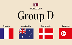 Bảng D World Cup 2022 gồm những đội nào?