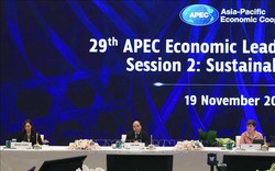 Lãnh đạo APEC thông qua tuyên bố chung, thúc đẩy tăng trưởng bền vững, bao trùm