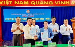 Hội Nông dân An Giang đẩy mạnh hỗ trợ nông dân tiêu thụ sản phẩm OCOP