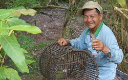 Mùa nước nổi Đồng Tháp, theo nông dân đi đặt lọp bắt tôm sông, đặt dớn bắt cá đồng