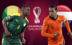 Nhận định, dự đoán kết quả Senegal vs Hà Lan (23 giờ ngày 21/11): "Cơn lốc màu da cam" thị uy!