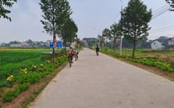 Nông thôn mới nâng cao ở xã Xuân Phương của Thái Nguyên với đường hoa đẹp, làng xóm sạch, thu nhập của dân tăng