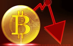 Giá Bitcoin hôm nay 21/11: Bitcoin lao dốc, chạm ngưỡng 16.000 USD, thị trường đỏ lửa
