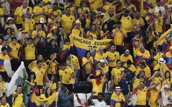 Ecuador đối diện nguy cơ bị phạt vì CĐV... "muốn uống bia"