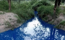 Đồng Nai: Phát hiện nước thải “xanh lè” ở cống thoát nước KCN Lộc An-Bình Sơn
