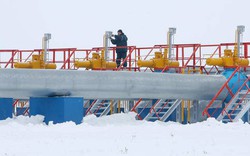 Gazprom cáo buộc Ukraine 'ăn trộm', đe dọa cắt nguồn cung khí đốt