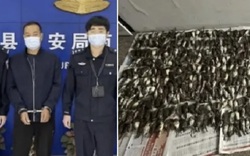  Người đàn ông ở Trung Quốc bị bắt vì giết 1.000 con chim để 'làm lẩu'