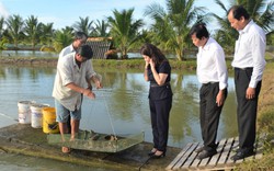 Hội Nông dân 11 tỉnh, thành phố thuộc Cụm thi đua số 5 thăm mô hình nuôi cá chình của tỷ phú ở Cà Mau
