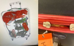 Đặc vụ sân bay sốc vì thấy con vật lạ trong hành lý của du khách