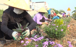 Huyện Lục Nam (Bắc Giang): Tăng tốc về đích trong xây dựng nông thôn mới