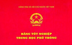 Vụ học sinh bị thu hồi bằng tốt nghiệp vì trùng phôi bằng: Hiệu trưởng nói gì?