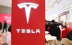 Tesla triệu hồi hơn 80.000 xe tại Trung Quốc do lỗi phần mềm và dây an toàn
