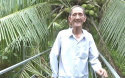 Vườn dừa vạn người mê, bỏ tiền tỷ làm "đại lộ trên không", ông nông dân Tiền Giang mát tay kiếm tiền