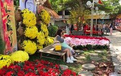 Khánh Hòa: Hội hoa xuân năm 2023 sẽ khai mạc vào ngày 14/1
