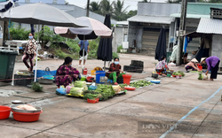 TS. Vũ Đình Ánh: "Lúc nào hào hứng đi lên, thế giới lại đổ cho chúng ta một gáo nước lạnh"