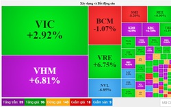 VN-Index chinh phục mốc 1.000 điểm, hai "ông lớn" NVL và PDR vẫn kéo dài kỷ lục giảm sàn