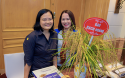 Có hai bằng đại học ở Việt Nam rồi du học Australia, cuối cùng nữ thạc sĩ về nước đi... bán gạo