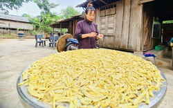 Thứ "rau rừng đặc sản" của Quảng Bình ăn đã ngon, nay làm OCOP đạt 3 sao nhìn càng ngon hơn