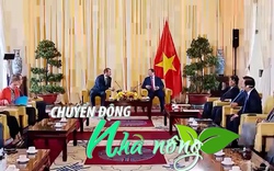 Chuyển động Nhà nông 29/11: Thủ tướng đề nghị EC xem xét sớm gỡ bỏ thẻ vàng IUU cho Việt Nam