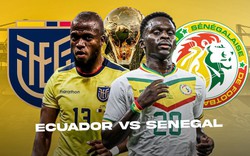 Dự đoán kết quả, nhận định Ecuador vs Senegal (22h ngày 29/11): Vé đi tiếp cho “La Tri”