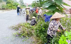 Nông thôn mới của xã Quỳnh Bảo ở Thái Bình khi dân cùng nhau làm sạch làng xóm, cứ 7 nhà có 1 thùng rác