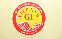 Bộ Khoa học và Công nghệ công bố Biểu trưng chỉ dẫn địa lý quốc gia Việt Nam