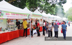 Hội chợ Công Thương vùng Đồng bằng sông Hồng năm 2022 tại Hưng Yên: Sẽ có 271 gian hàng tham gia