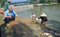 Chủ động ứng phó thiên tai, đảm bảo sản xuất an toàn, hiệu quả