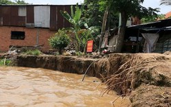 Sạt lở sông Tiền khu vực xã Tân Quới, tỉnh Đồng Tháp lập tức công bố tình huống khẩn cấp 