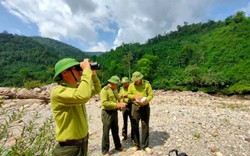 Những người gác rừng nói không với thuốc lá