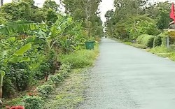 Nông thôn mới huyện Tam Bình của Vĩnh Long, tạo thói quen "gặp" thùng rác, tuyến đường hoa sạch đẹp tinh tươm