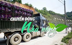 Chuyển động Nhà nông 8/11: Nhiều xe nông sản mắc kẹt ở Trung Quốc