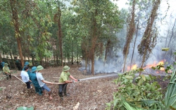 Hàng trăm người ở Thái Nguyên vào rừng dùng vòi xịt nước vì điều này
