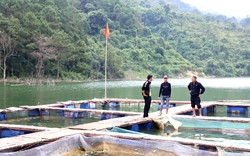 Một người Hà Giang "rót" 500 triệu xuống hồ thủy điện sông Chảy để nuôi loài cá đặc sản