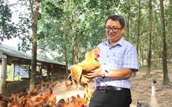 Làm trang trại VACR, một Chủ tịch Hội Nông dân xã ở Quảng Trị có thu nhập 500 triệu/năm
