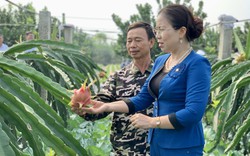 Phó Chủ tịch Hội NDVN Bùi Thị Thơm: Nông dân Hà Nam hướng tới làm nông chuyên nghiệp...