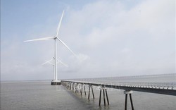 Việt Nam có nhiều tiềm năng trở thành trung tâm điện gió ngoài khơi